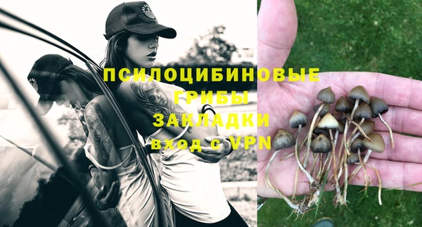 кокс Алексин