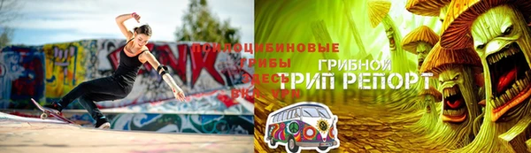 кокс Алексин
