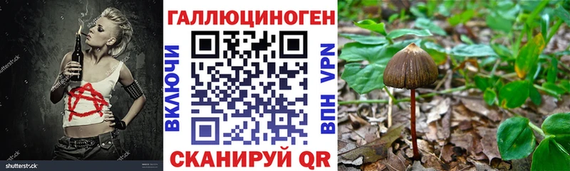 сайты даркнета клад  Лермонтов  Псилоцибиновые грибы ЛСД 